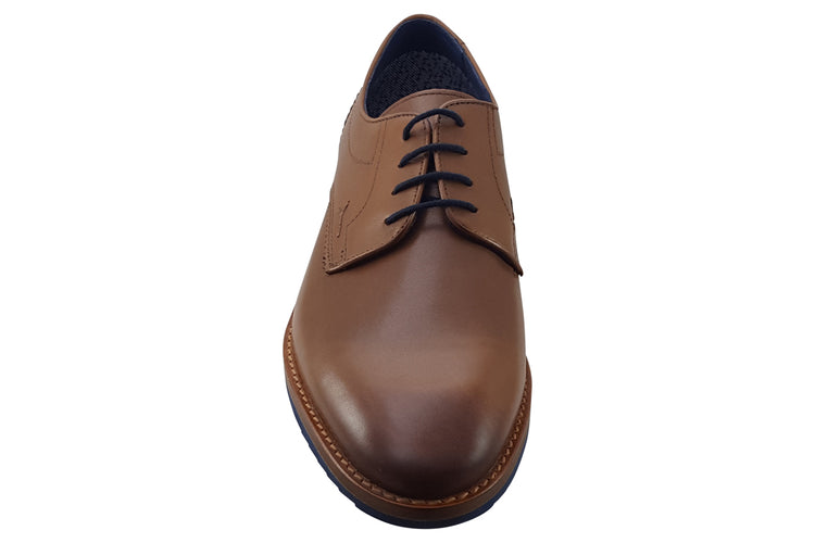 Dubarry Dan Whiskey Mens Shoes