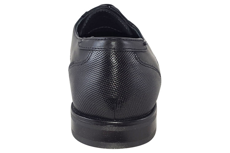 Dubarry Drago Black Mens Shoes