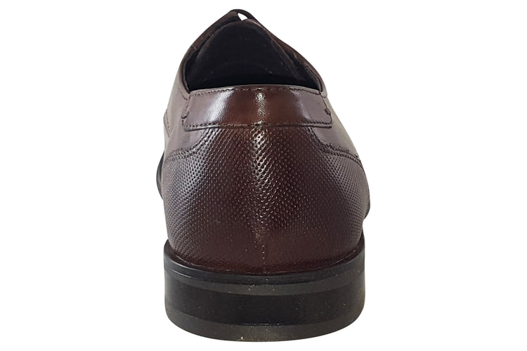 Dubarry Drago Brown Mens Shoes