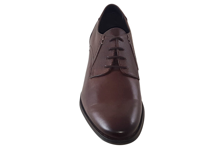 Dubarry Drago Brown Mens Shoes