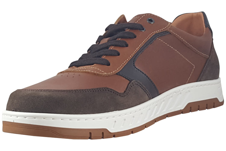 Dubarry Skater 5879 Brown Mens Trainers
