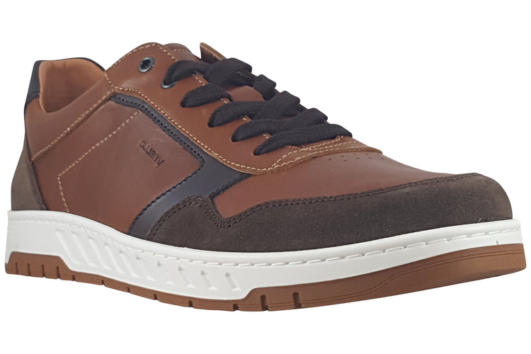 Dubarry Skater 5879 Brown Mens Trainers