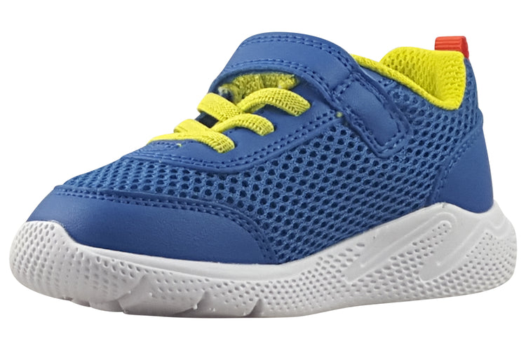 Geox B Sprintye Boy B454UC Boys Sports Royal/Red