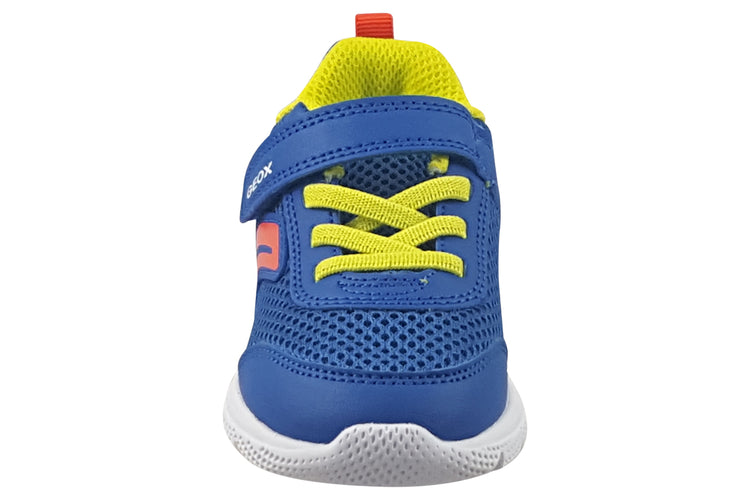 Geox B Sprintye Boy B454UC Boys Sports Royal/Red