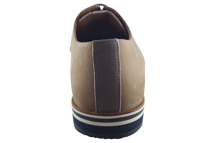 Paolo Vandini Hemsby Lace Dodo/Grey Mens Shoes