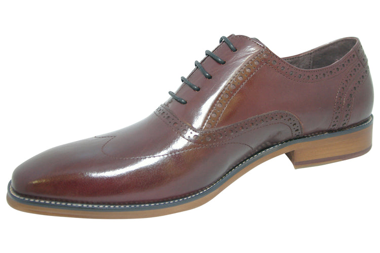 Paolo Vandini Praze Burgundy Mens Shoes