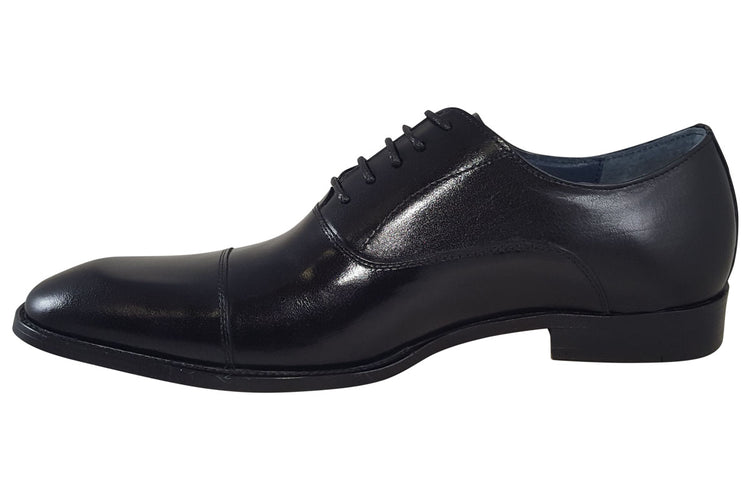 Paolo Vandini Thistle Black Mens Shoes