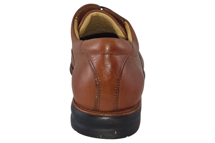 Anatomic & Co Goias (740373) Cedar Mens Shoes