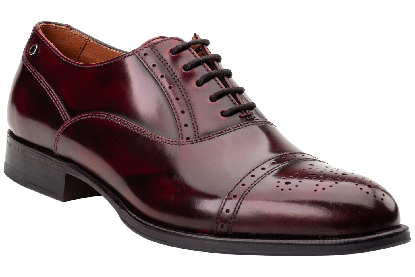 Base London Franklin Hi Shine Bordo Mens Shoes