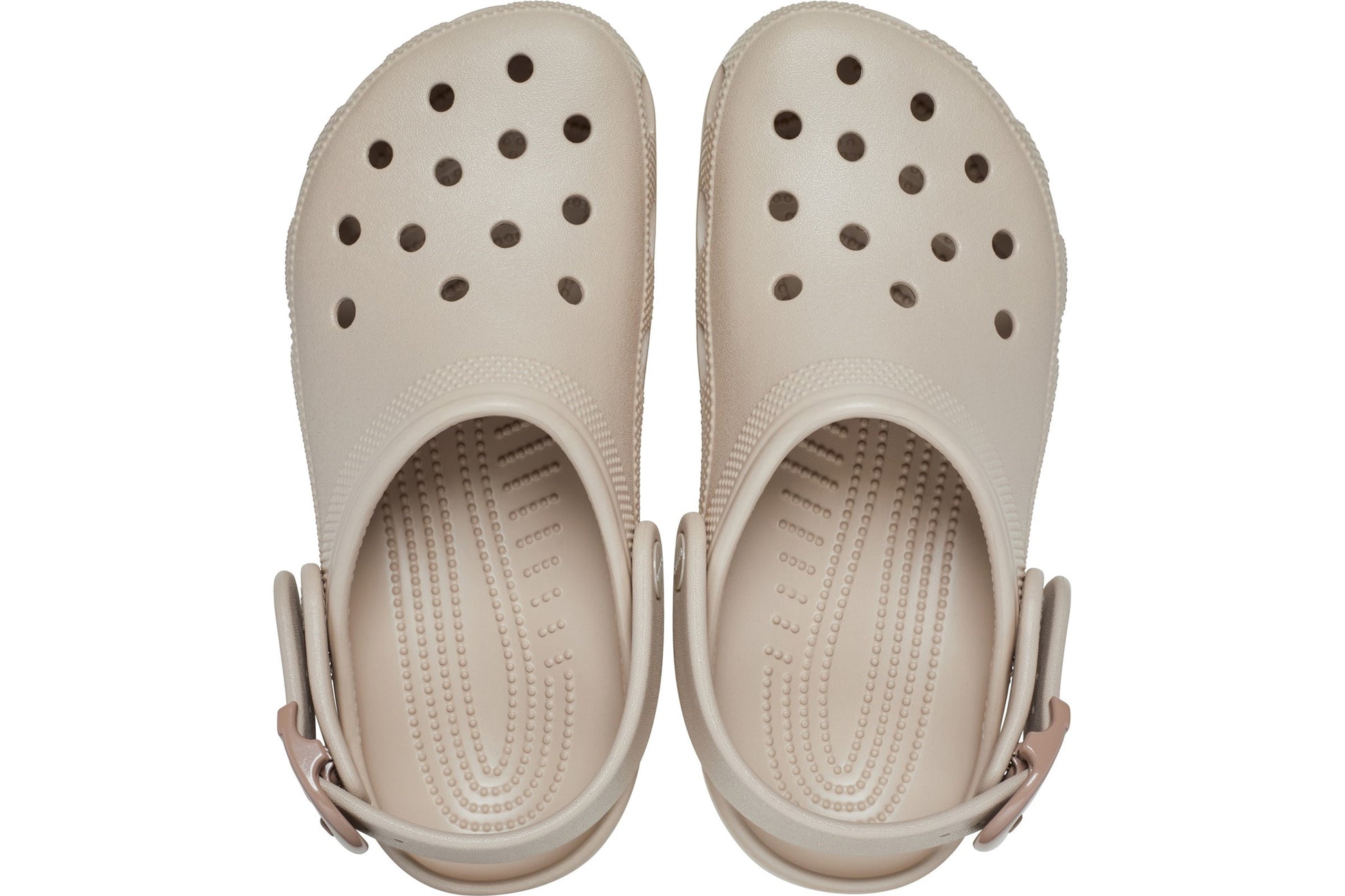 crocs-classic-buckle-clog-dulce-unisex-sandal-top