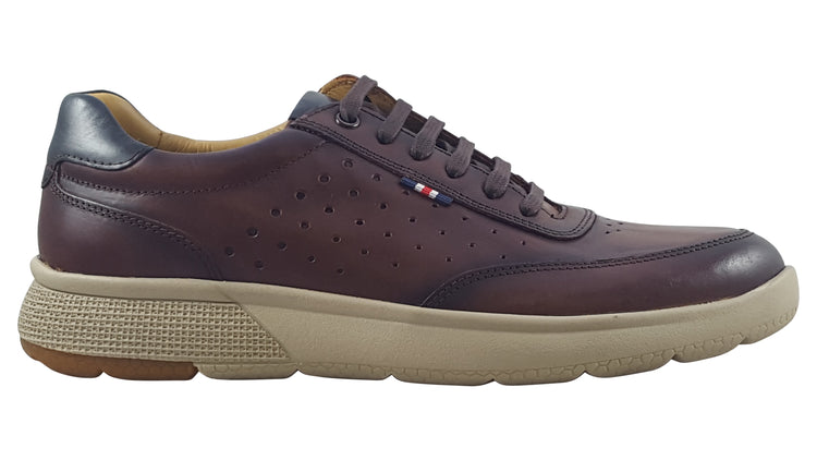 Dubarry Bragg Brown Mens Trainers
