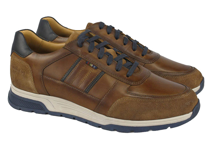 Dubarry Sarris 5813 Tan Mens Shoes