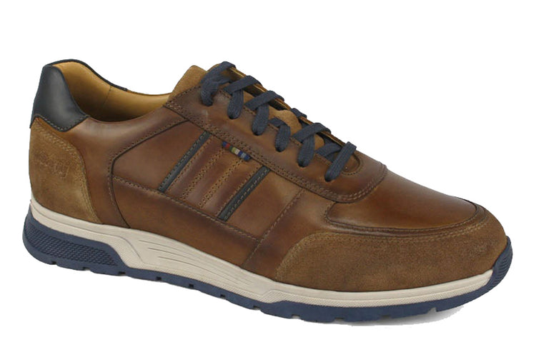 Dubarry Sarris 5813 Tan Mens Shoes