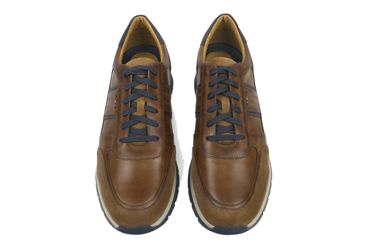 dubarry-sarris-5813-tan-mens-trainers-top