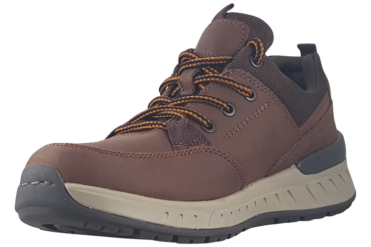 Dubarry Stamford Brown Mens Trainers