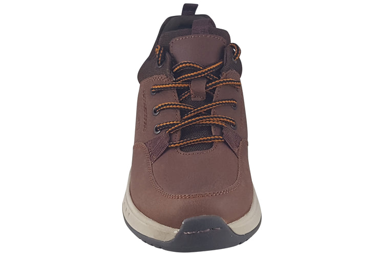 Dubarry Stamford Brown Mens Trainers