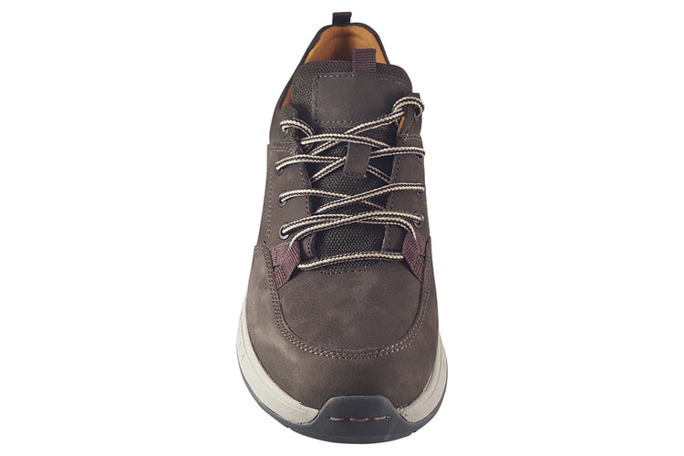 Dubarry Stamford Donkey Brown Mens Trainers