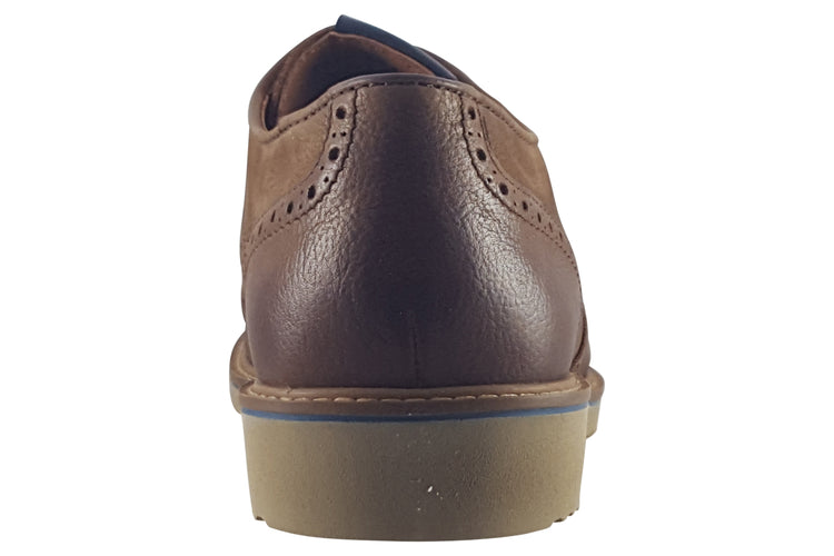 Dubarry Stan 5863 Chestnut Mens Shoes