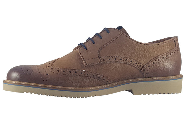 Dubarry Stan 5863 Chestnut Mens Shoes