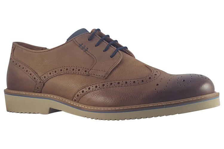 Dubarry Stan 5863 Chestnut Mens Shoes