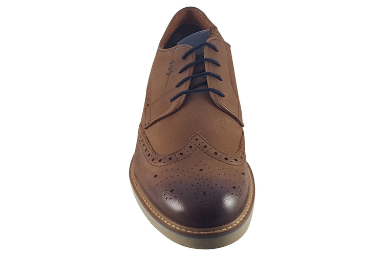 Dubarry Stan 5863 Chestnut Mens Shoes