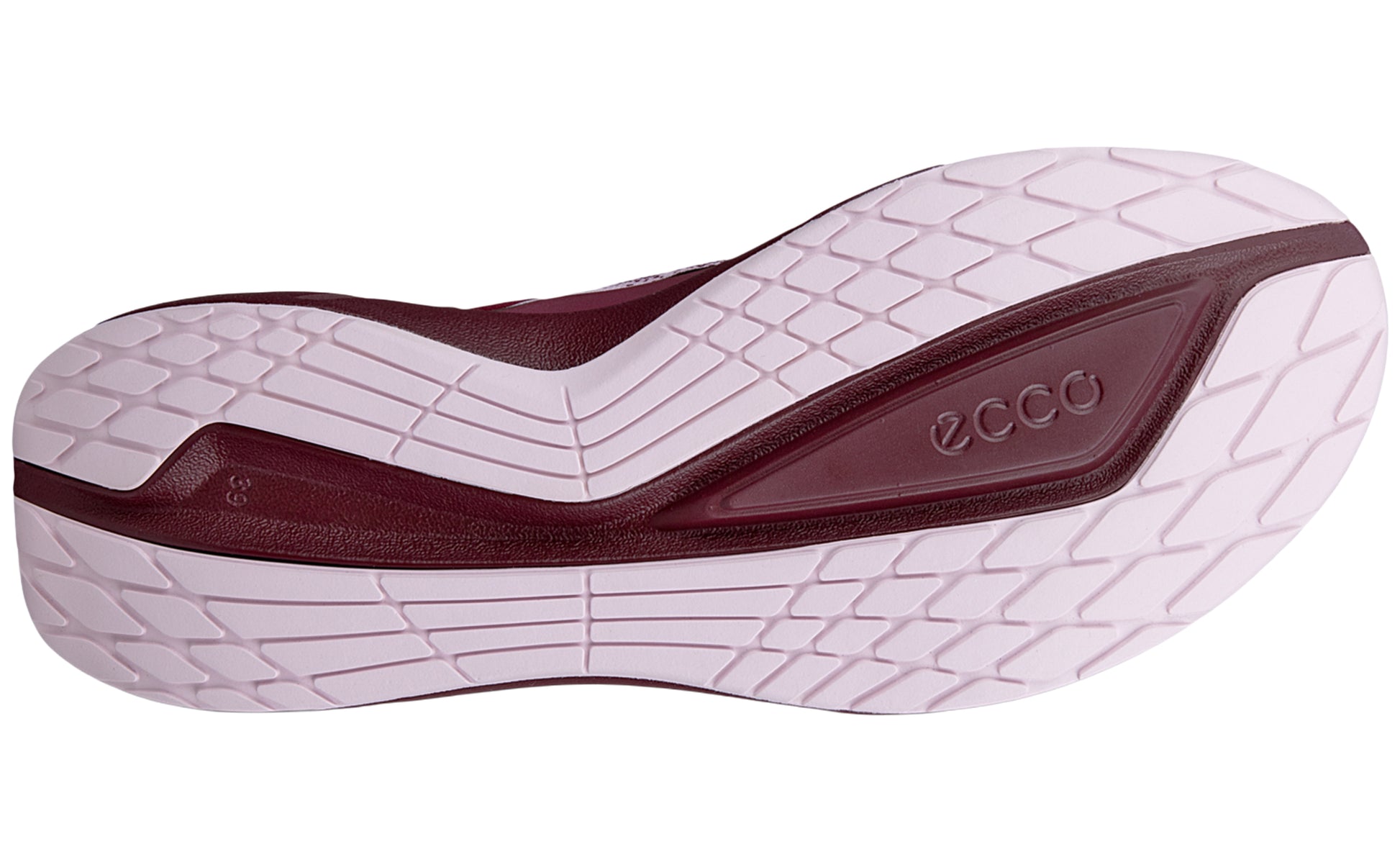 ecco-biom-2