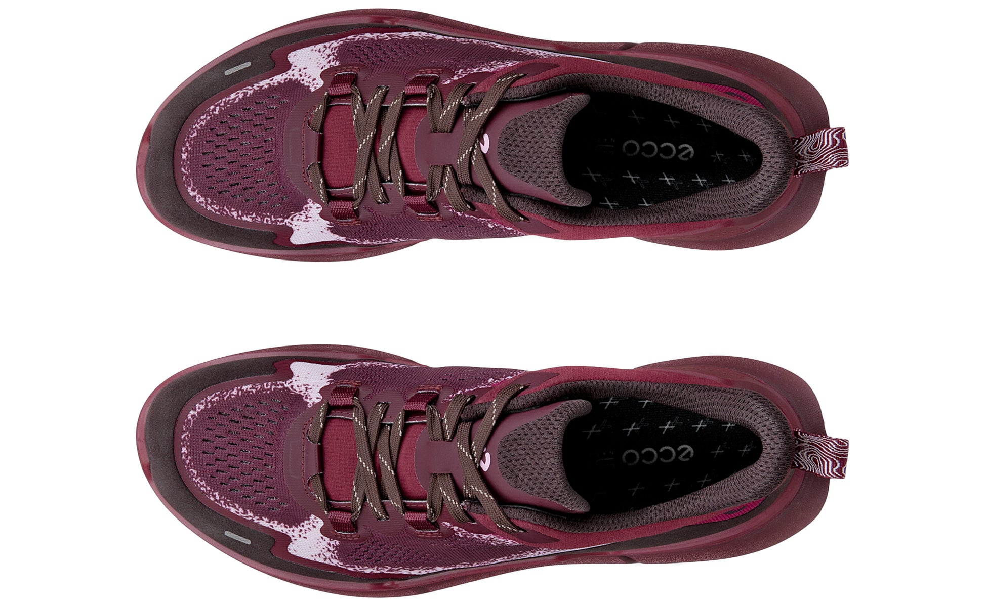 ecco-biom-2