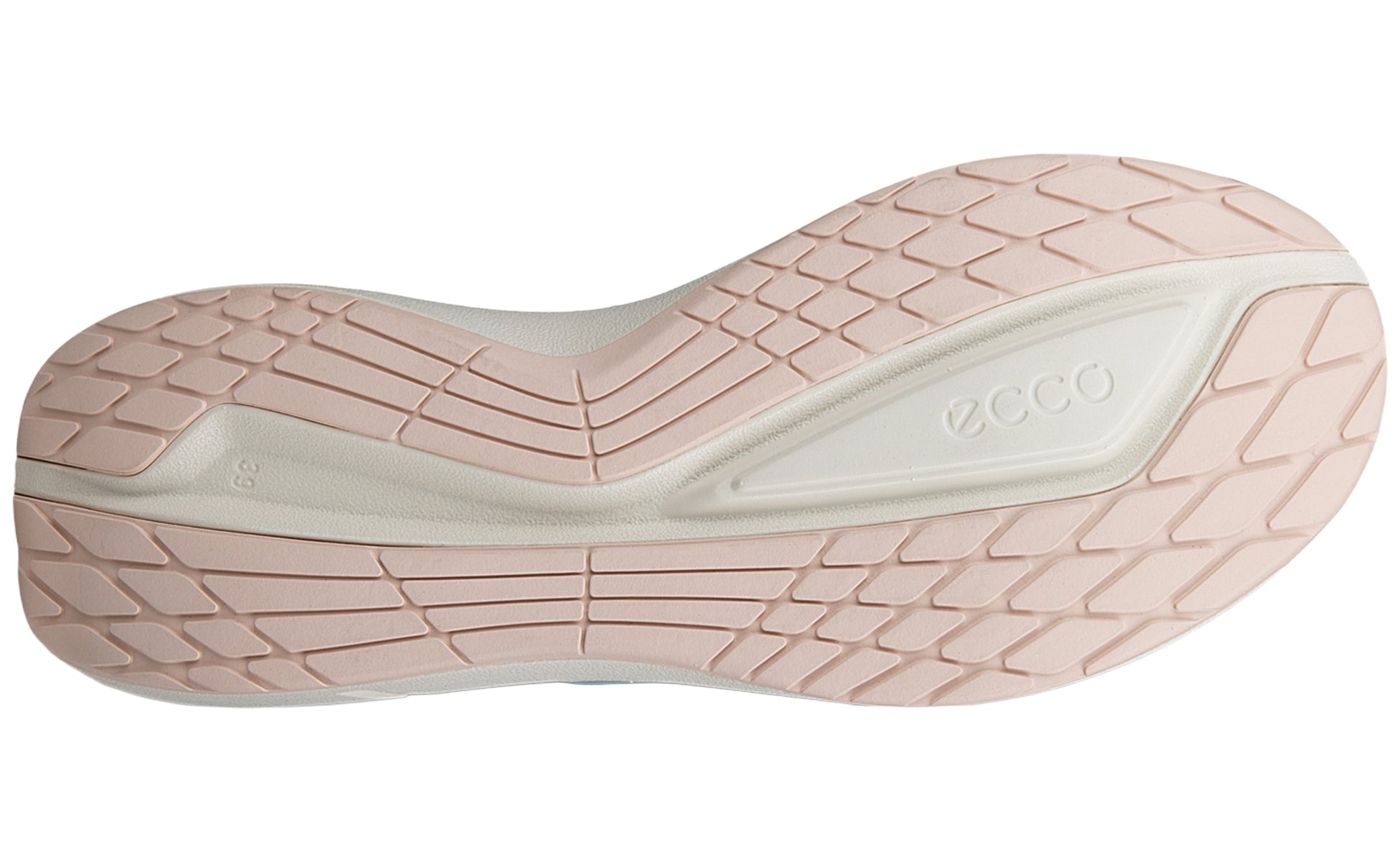 ecco-biom-2