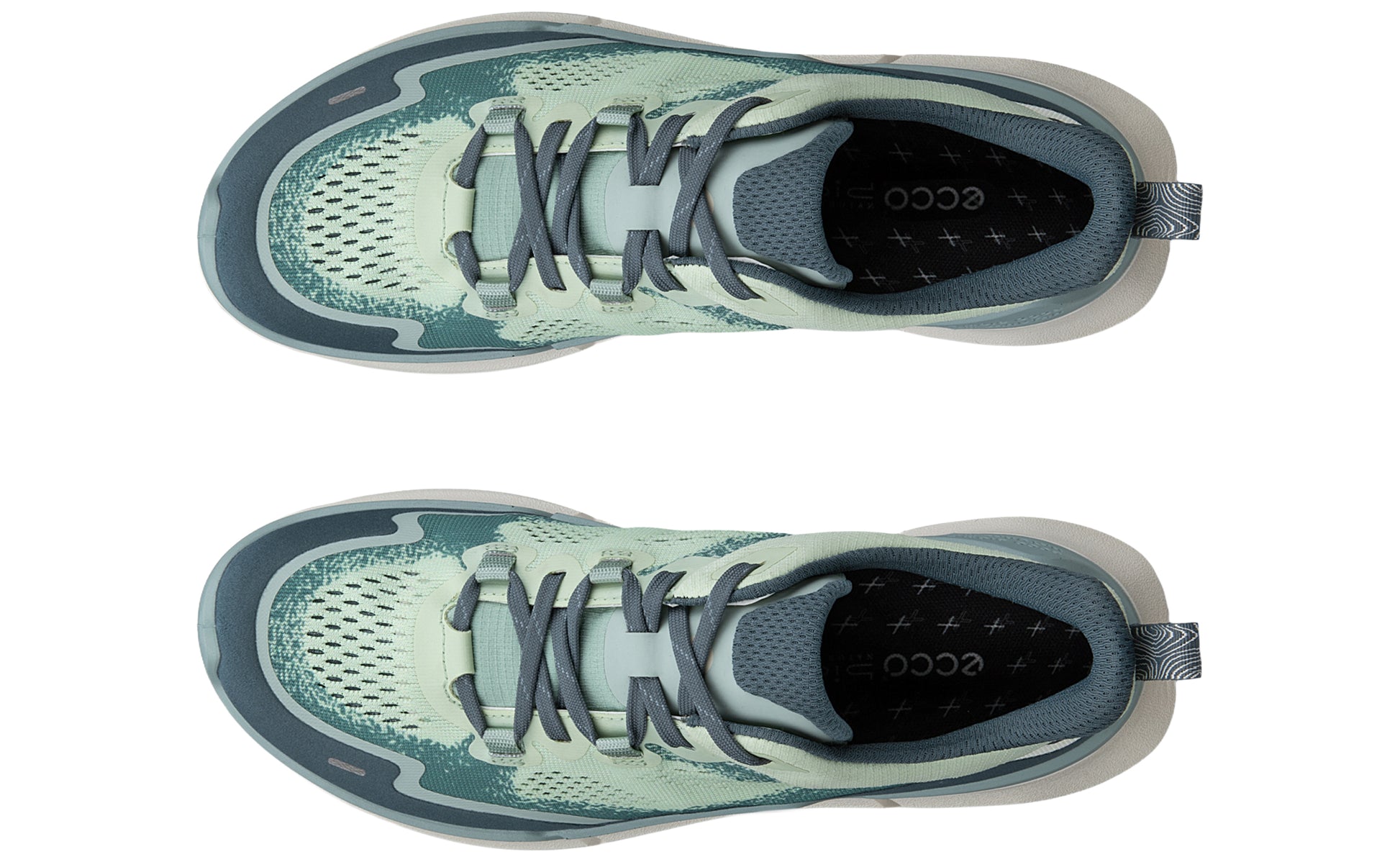 ecco-biom-2