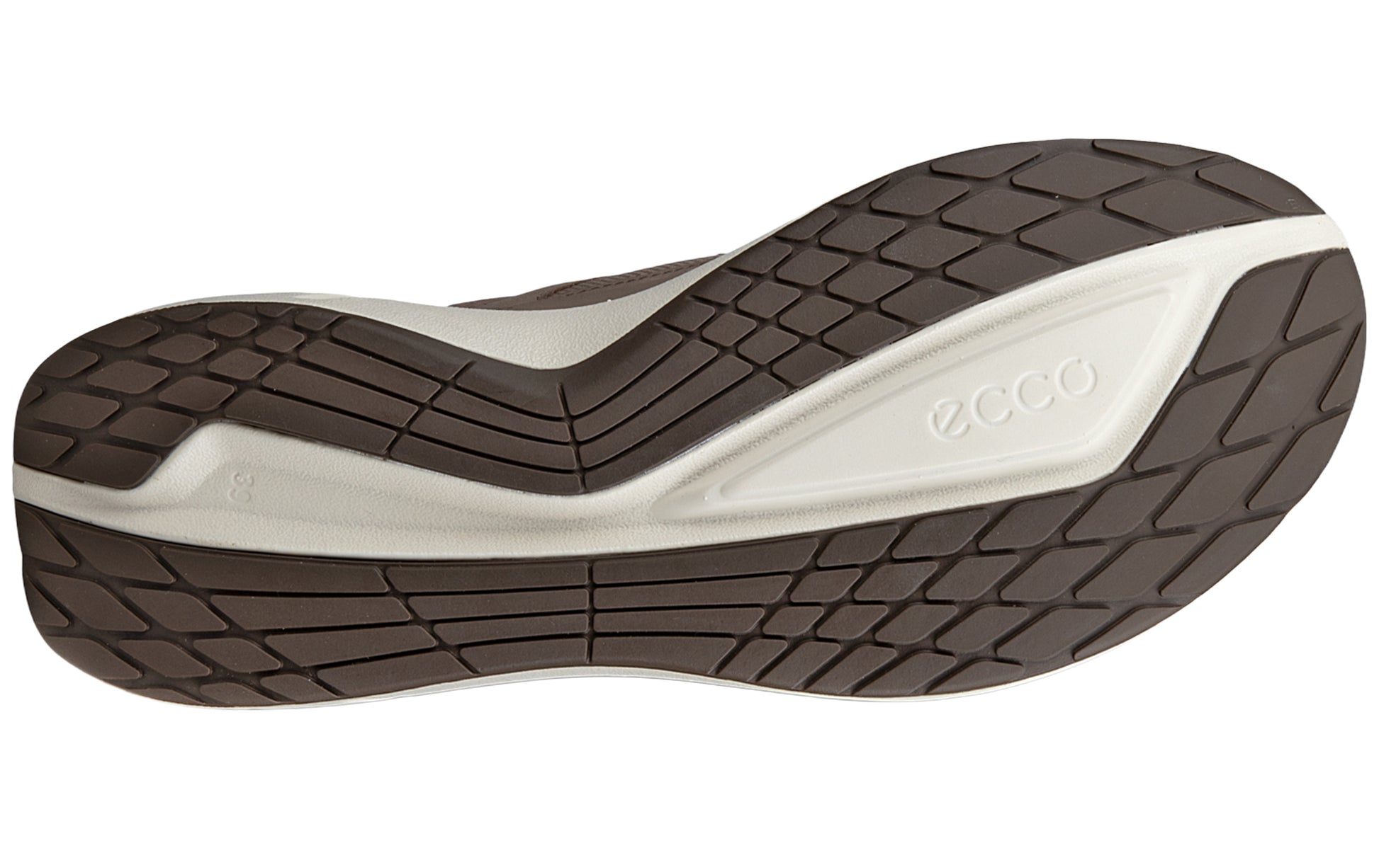 ecco-biom-2