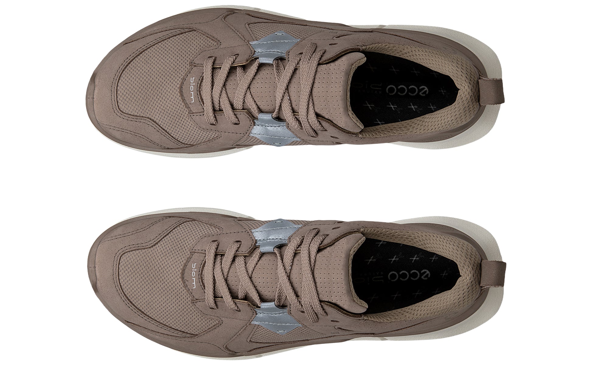 ecco-biom-2