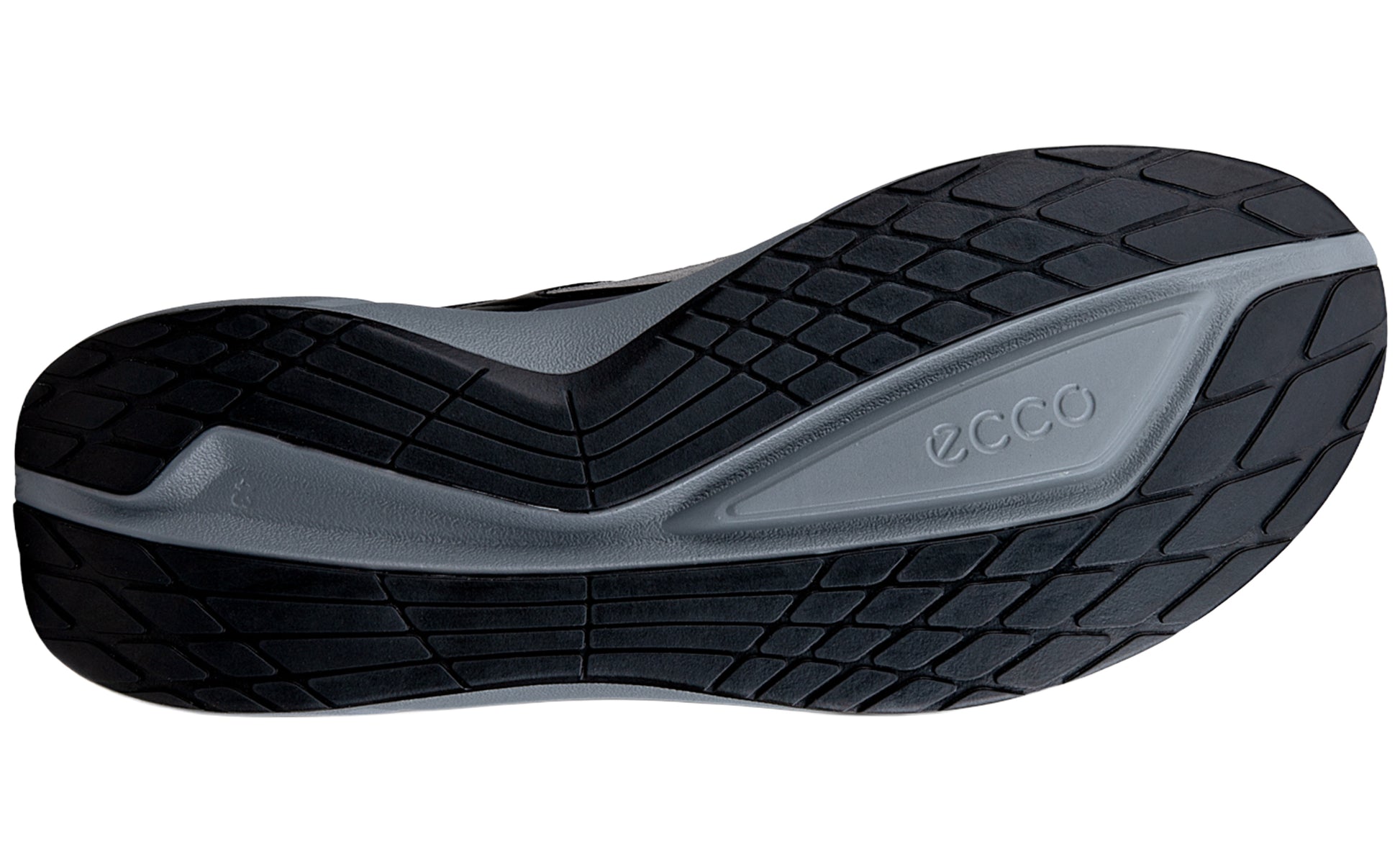 ecco-biom-2
