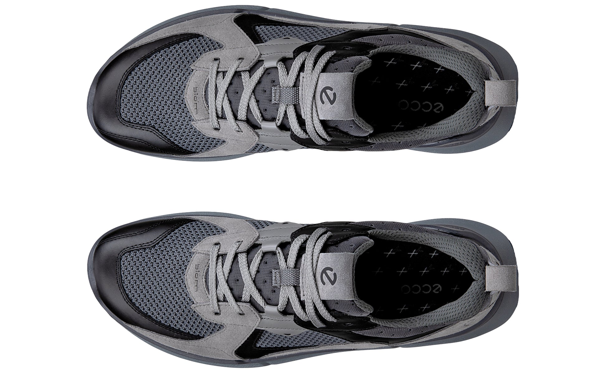 ecco-biom-2