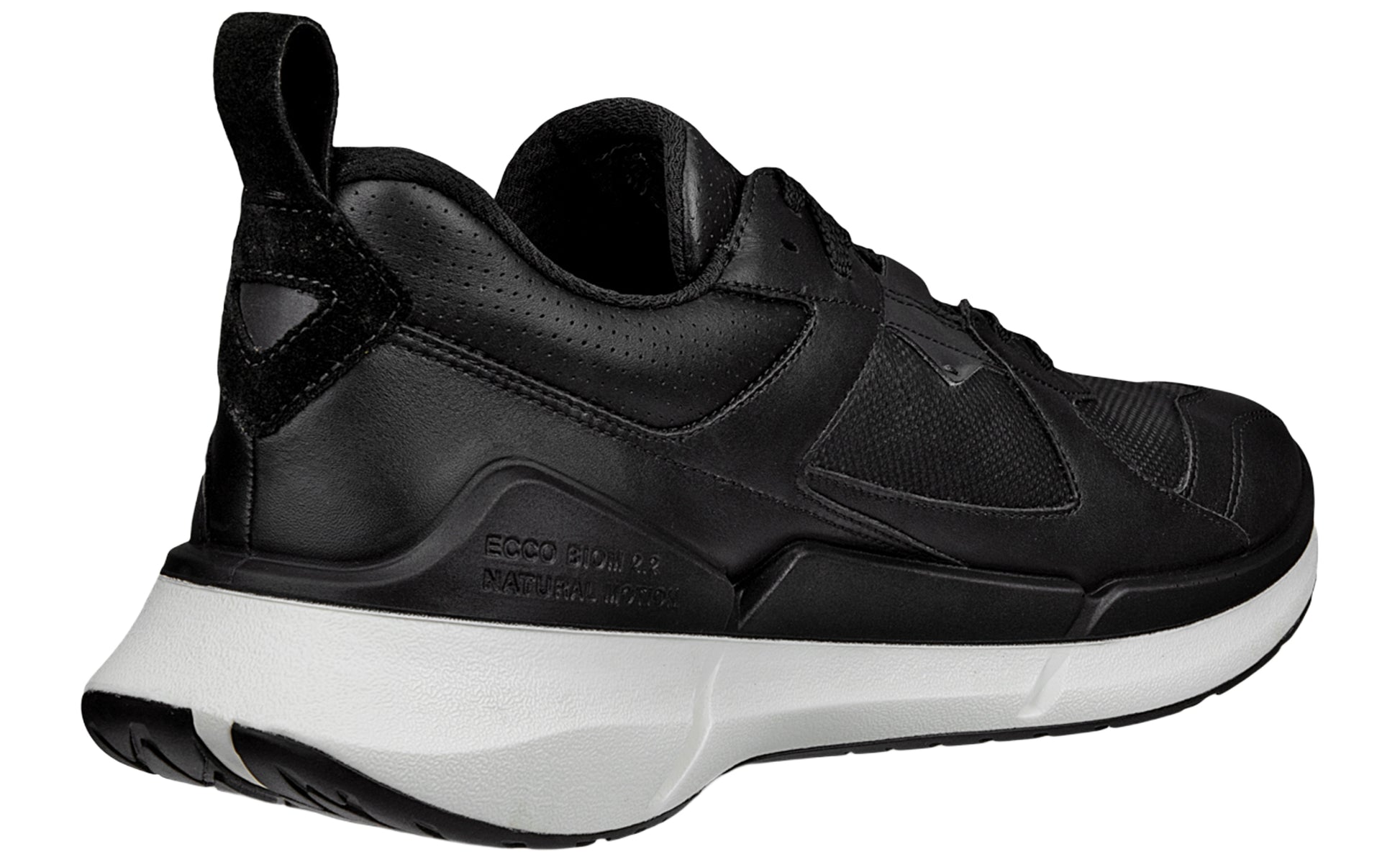 ecco-biom-2