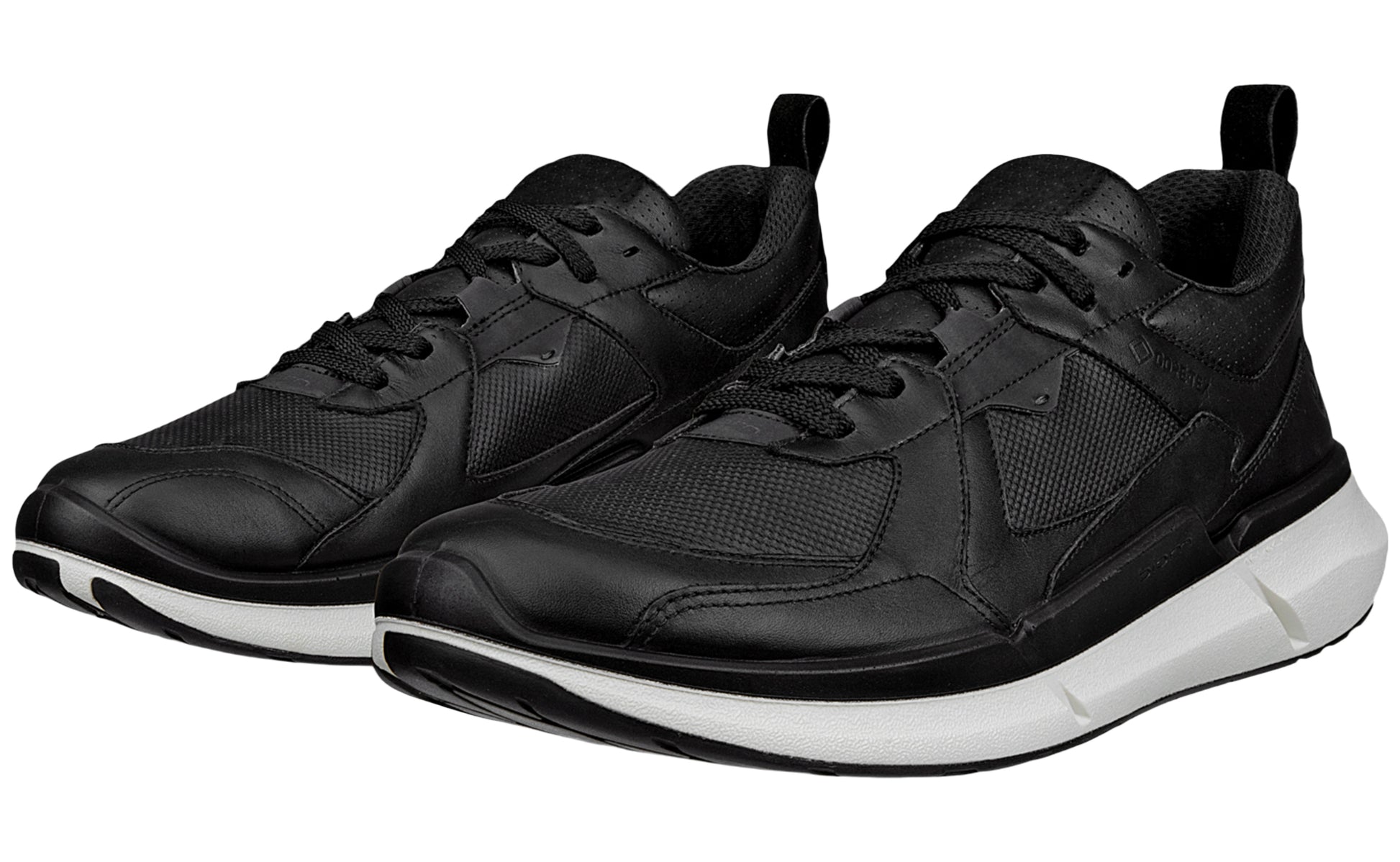 ecco-biom-2
