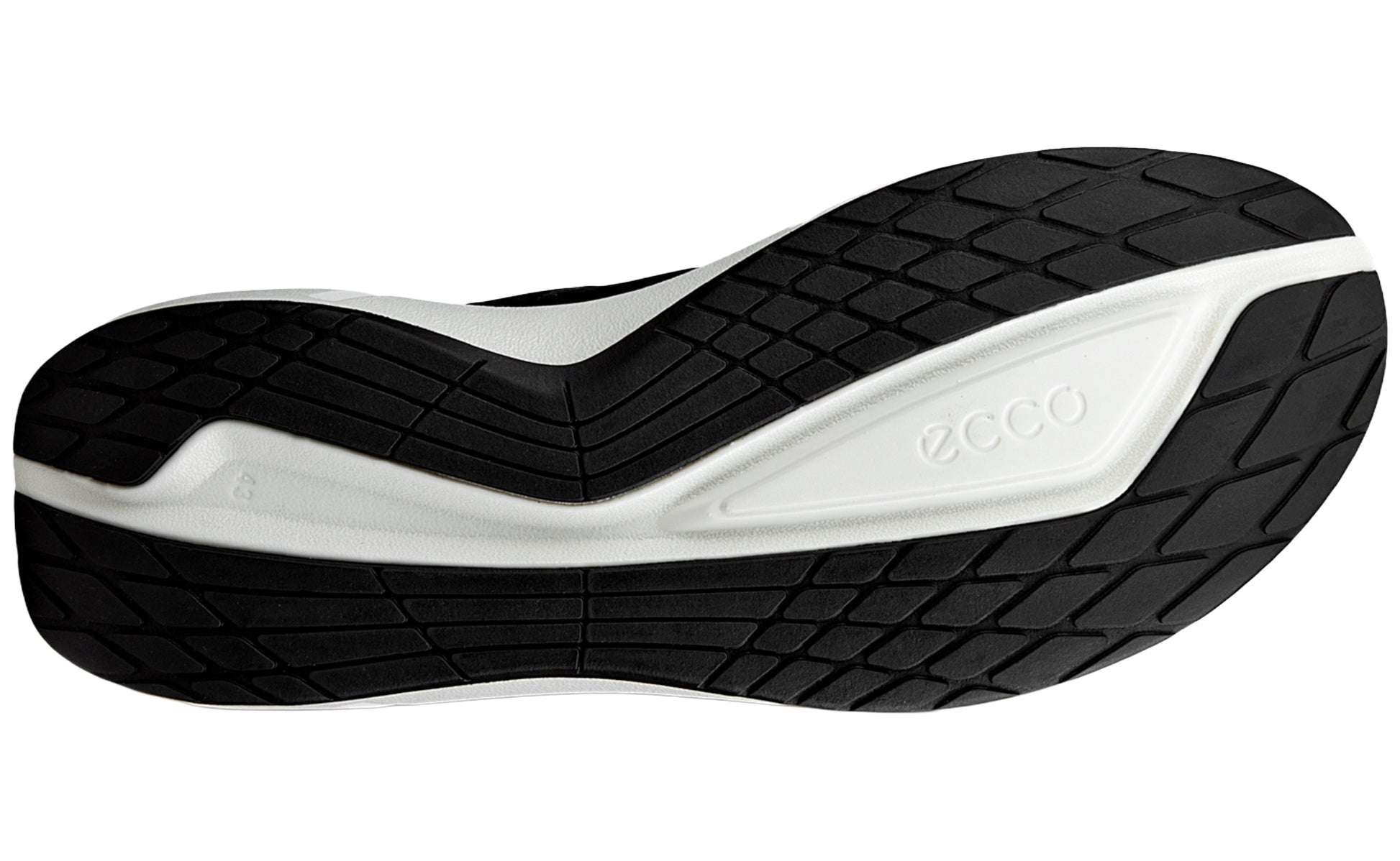 ecco-biom-2