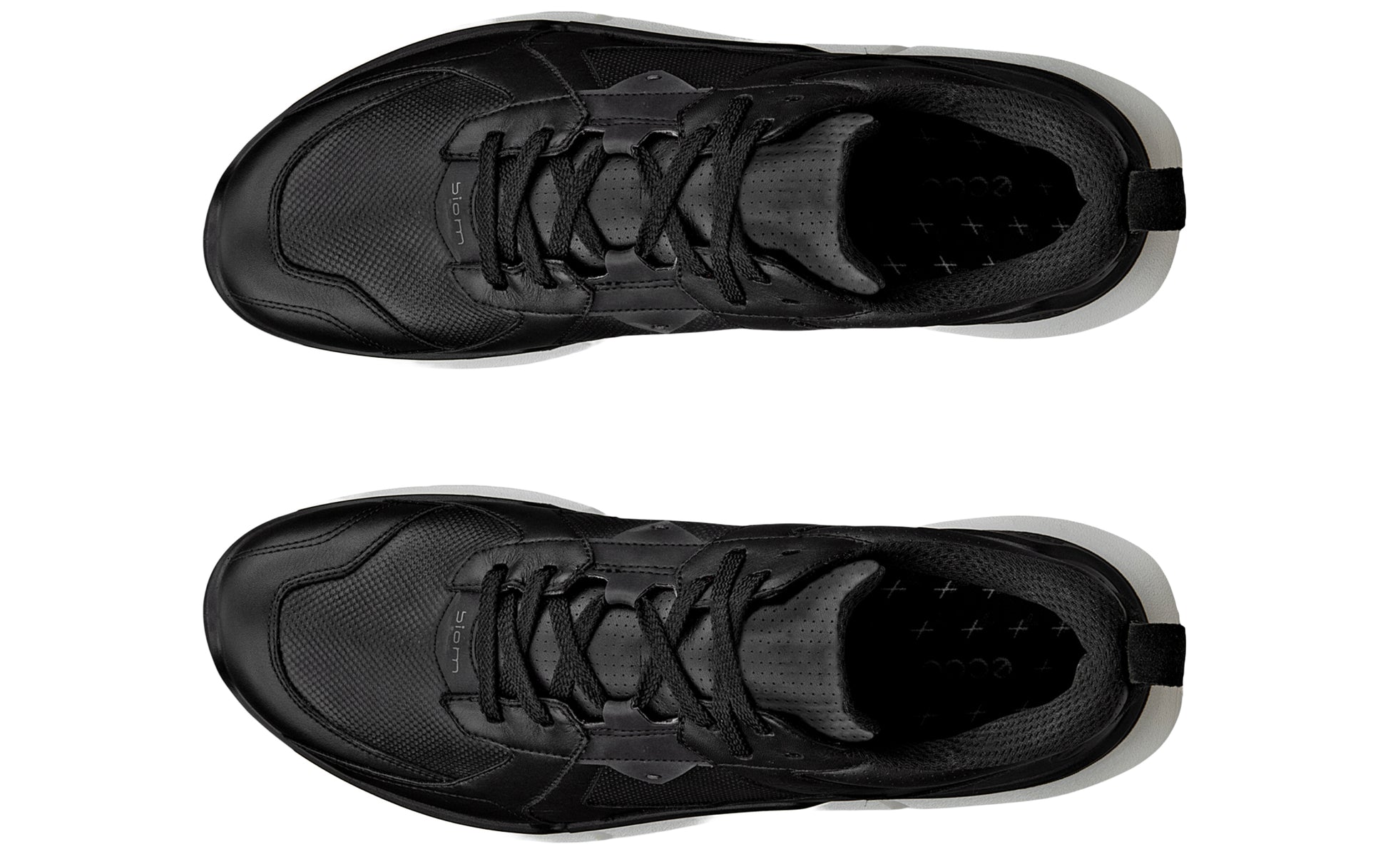 ecco-biom-2