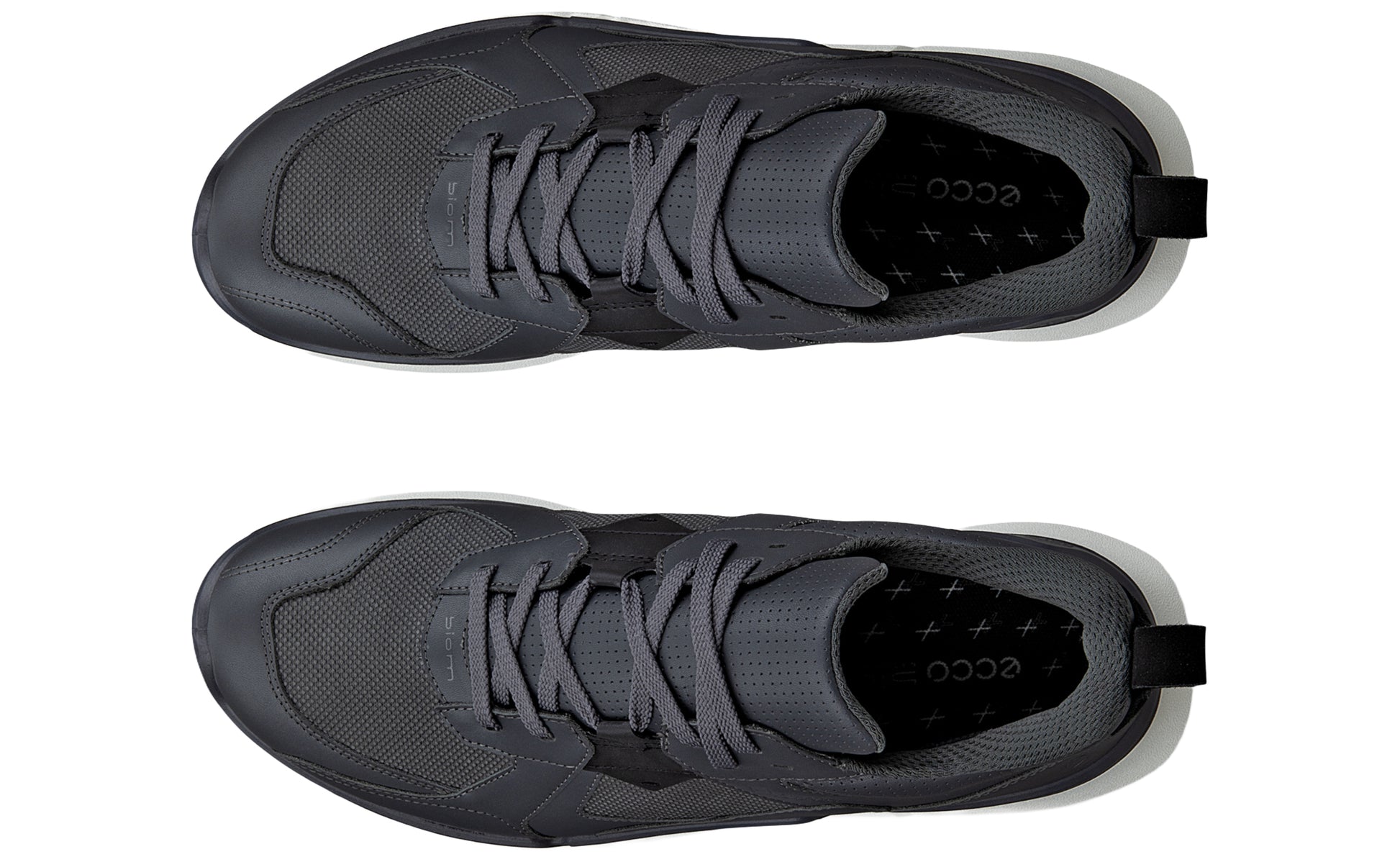 ecco-biom-2