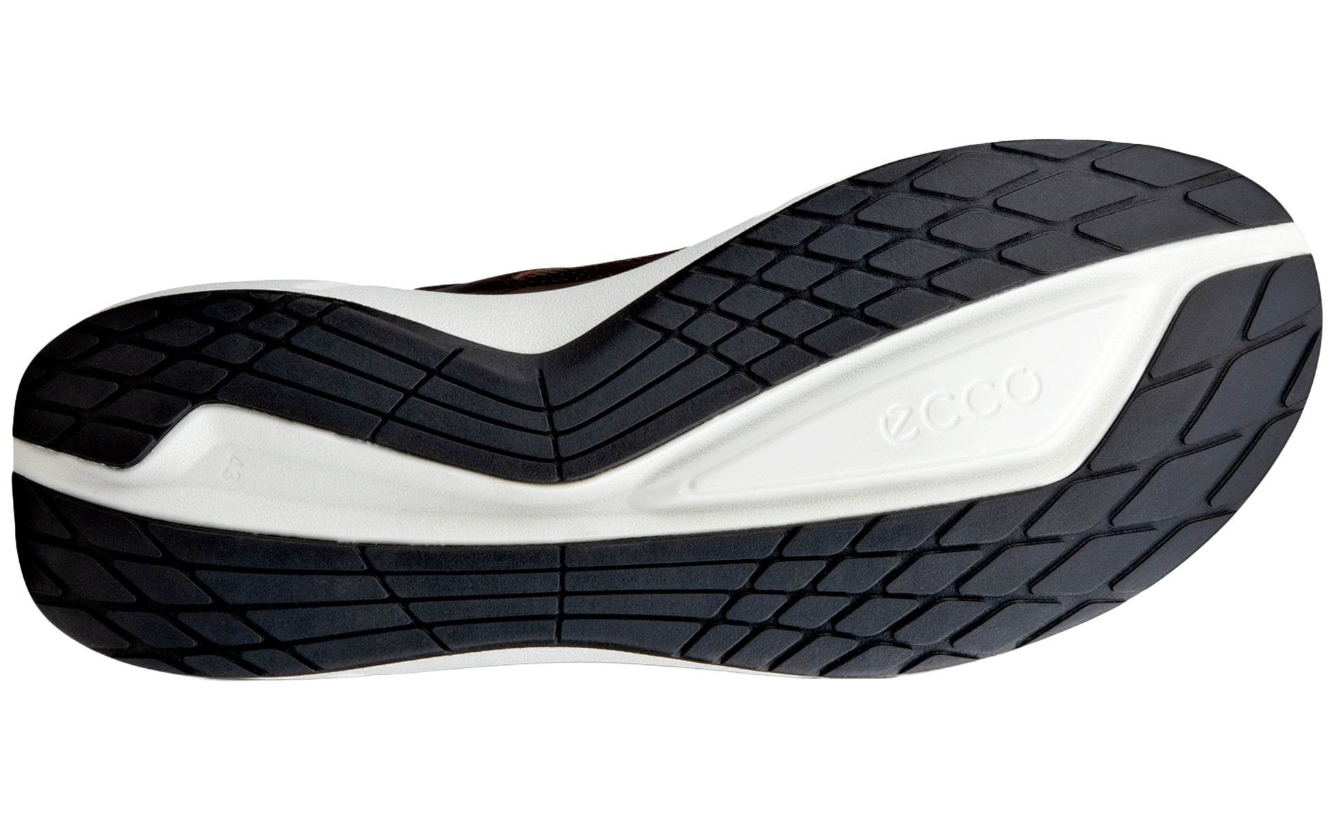 ecco-biom-2