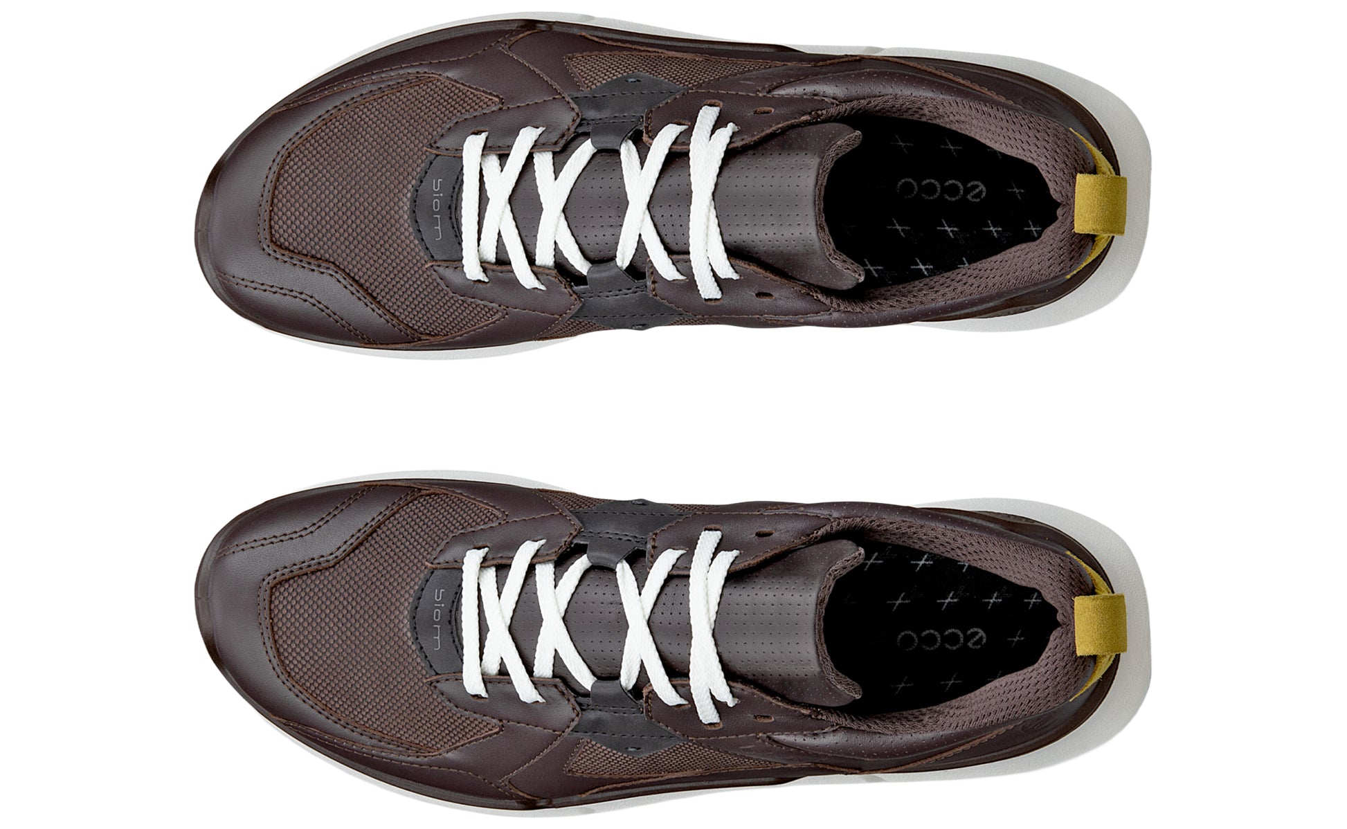ecco-biom-2