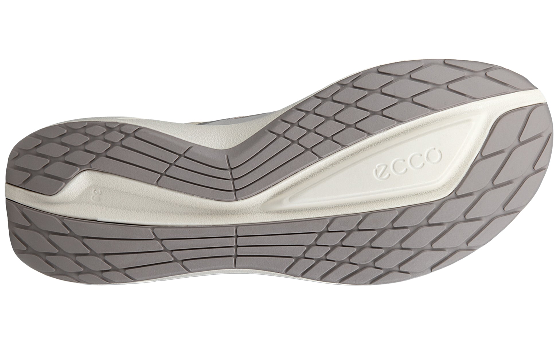 ecco-biom-2