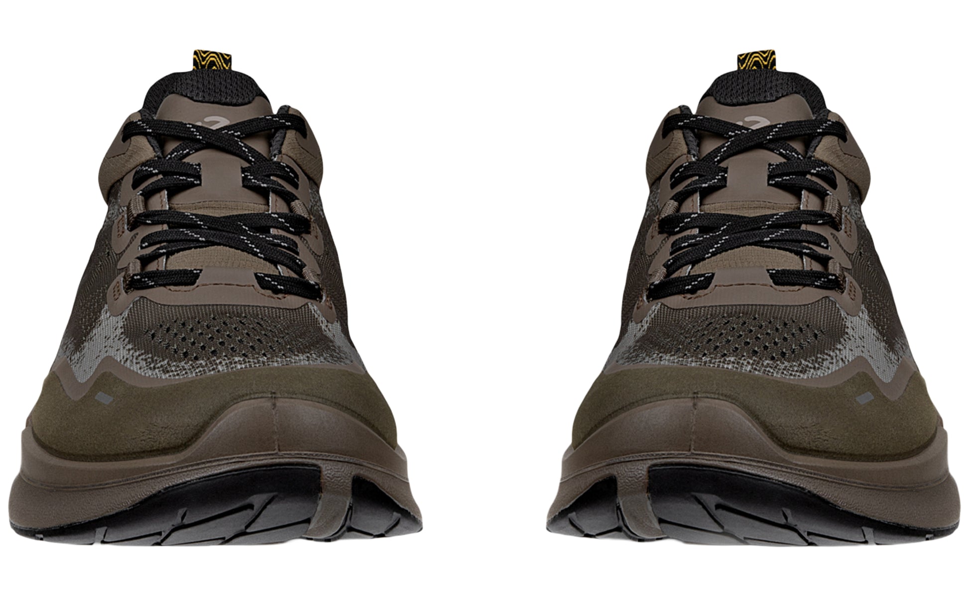 ecco-biom-2