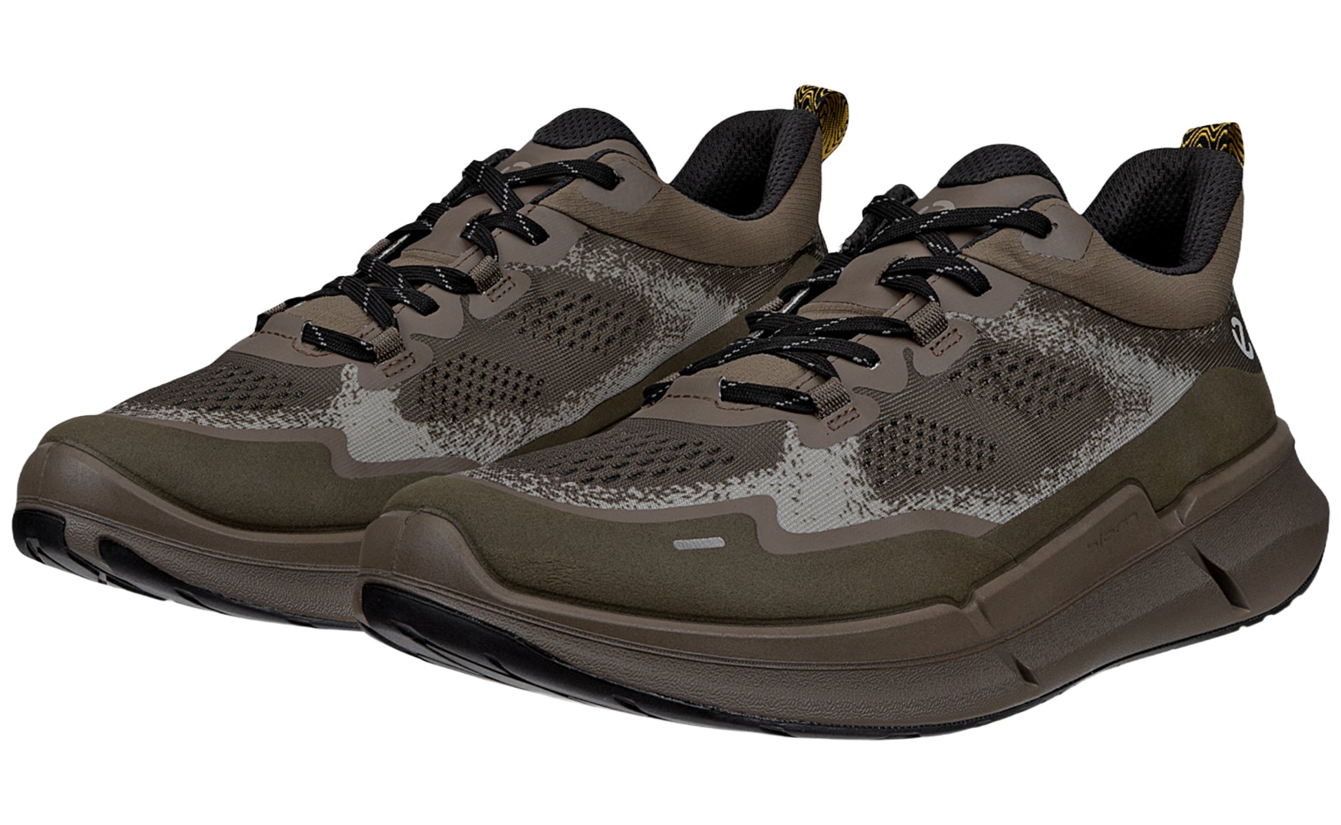 ecco-biom-2
