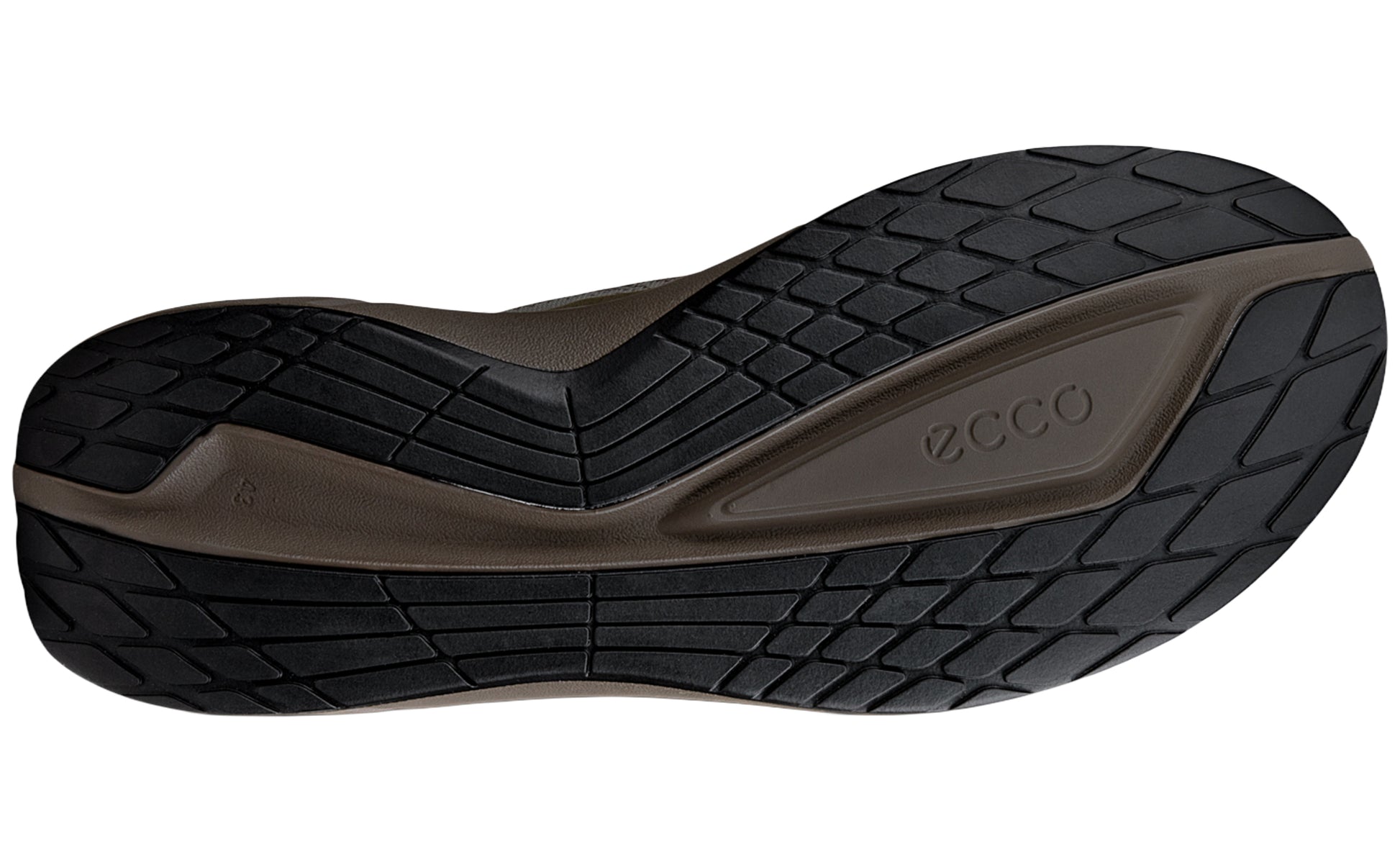 ecco-biom-2