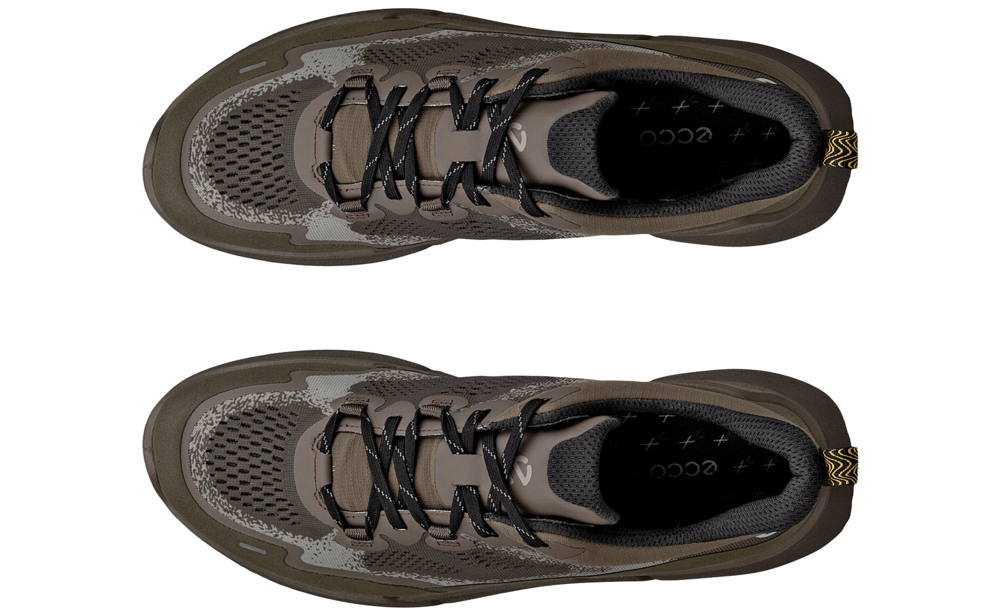 ecco-biom-2