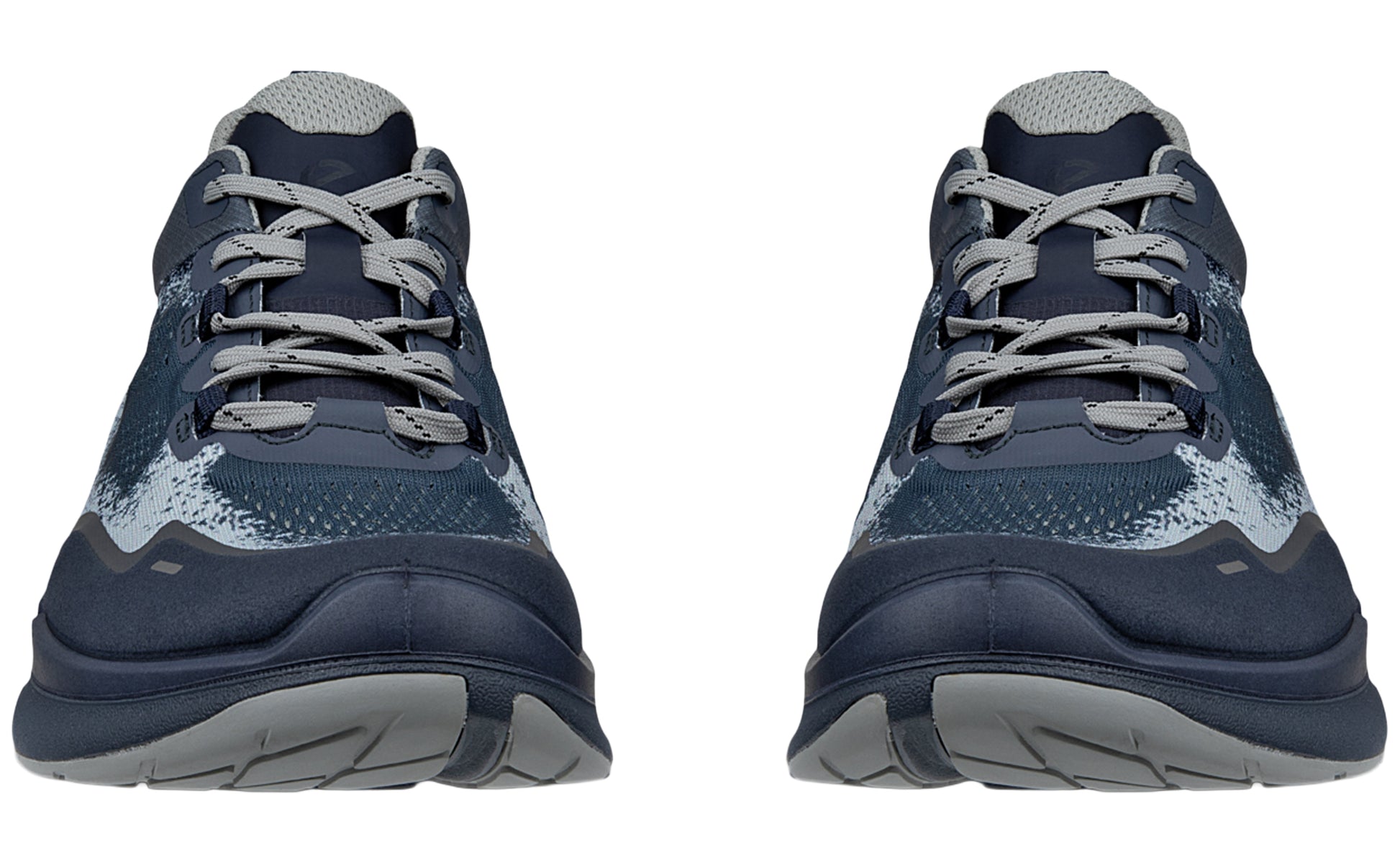 ecco-biom-2