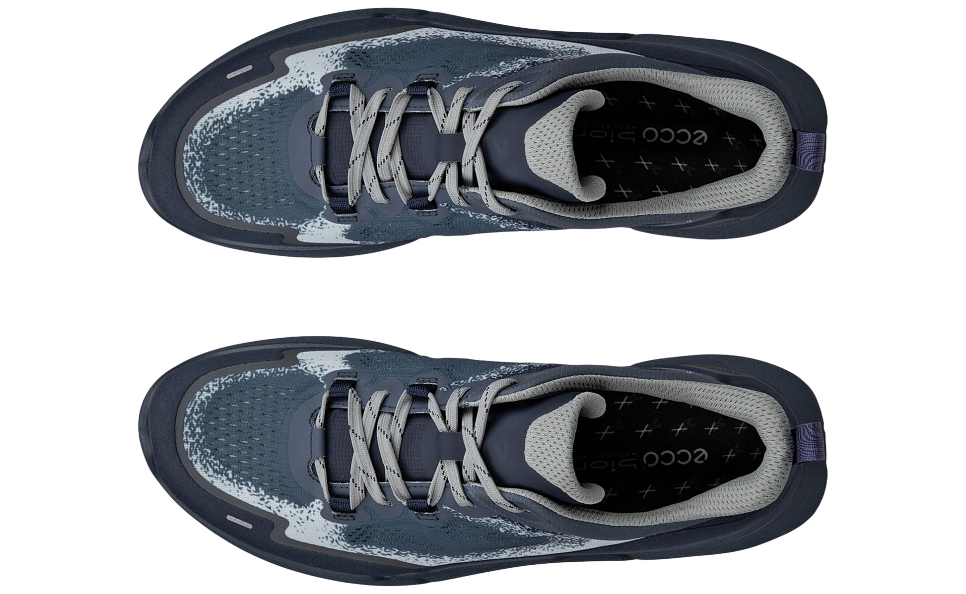 ecco-biom-2