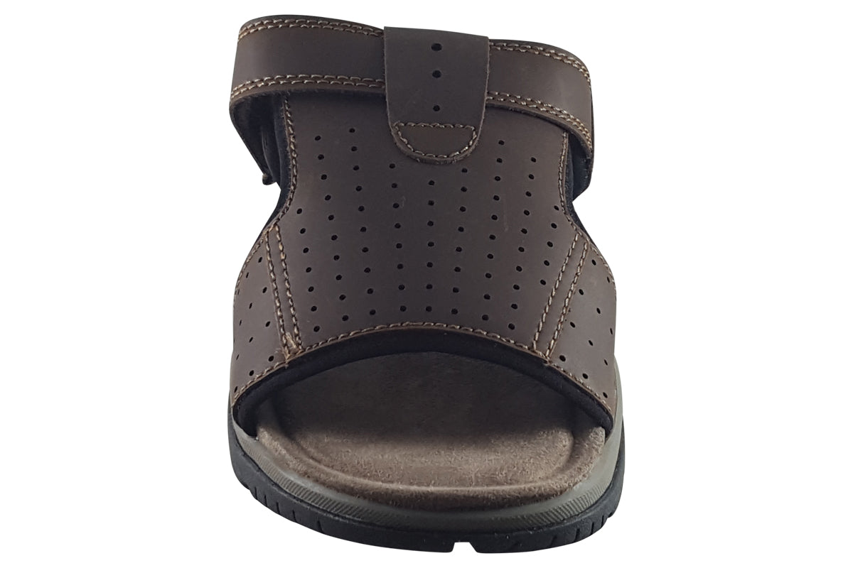 free-spirit-harrison-brown-mens-top