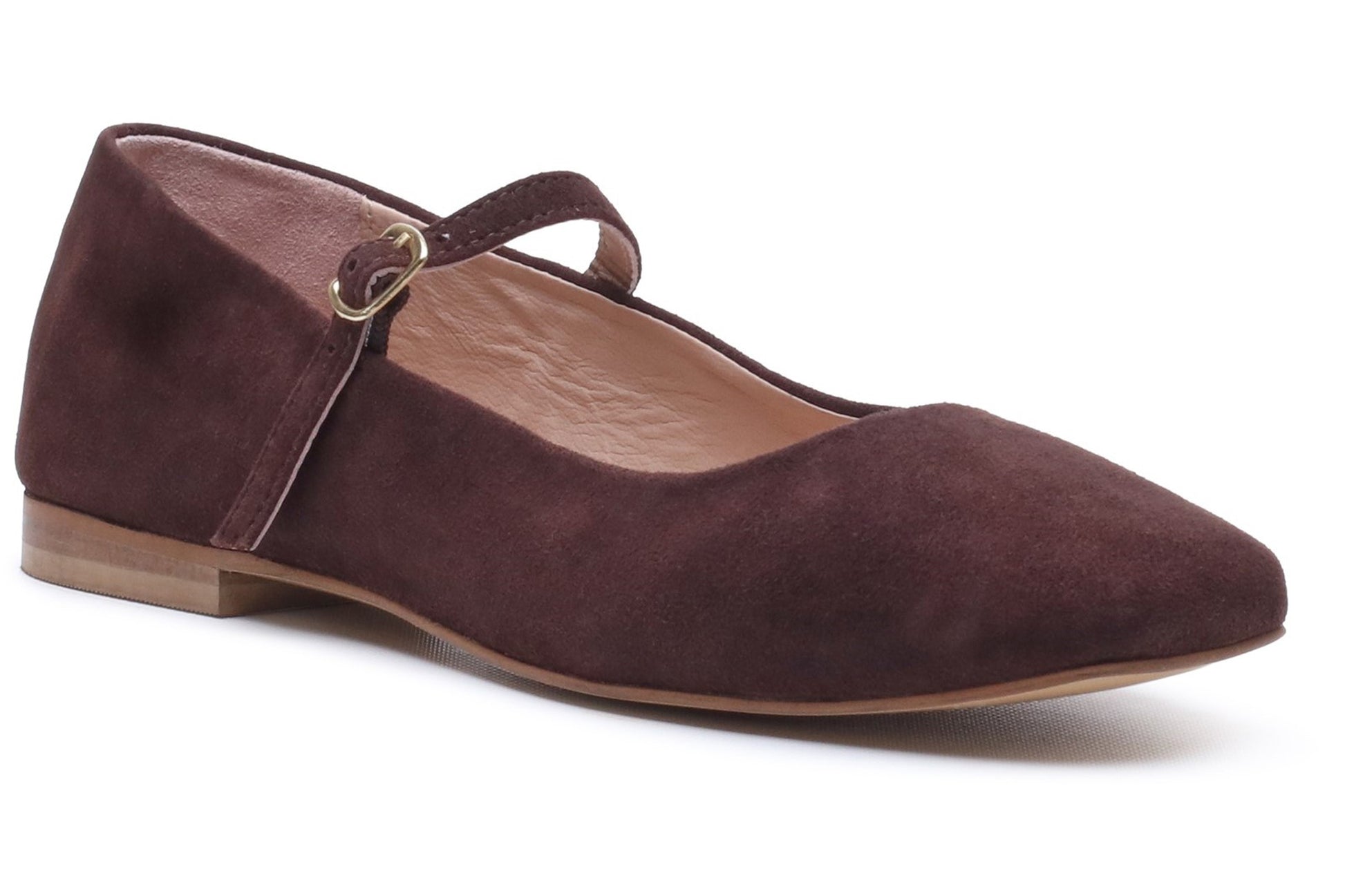 hush-puppies-pasha-suede-ballerina-chocolate