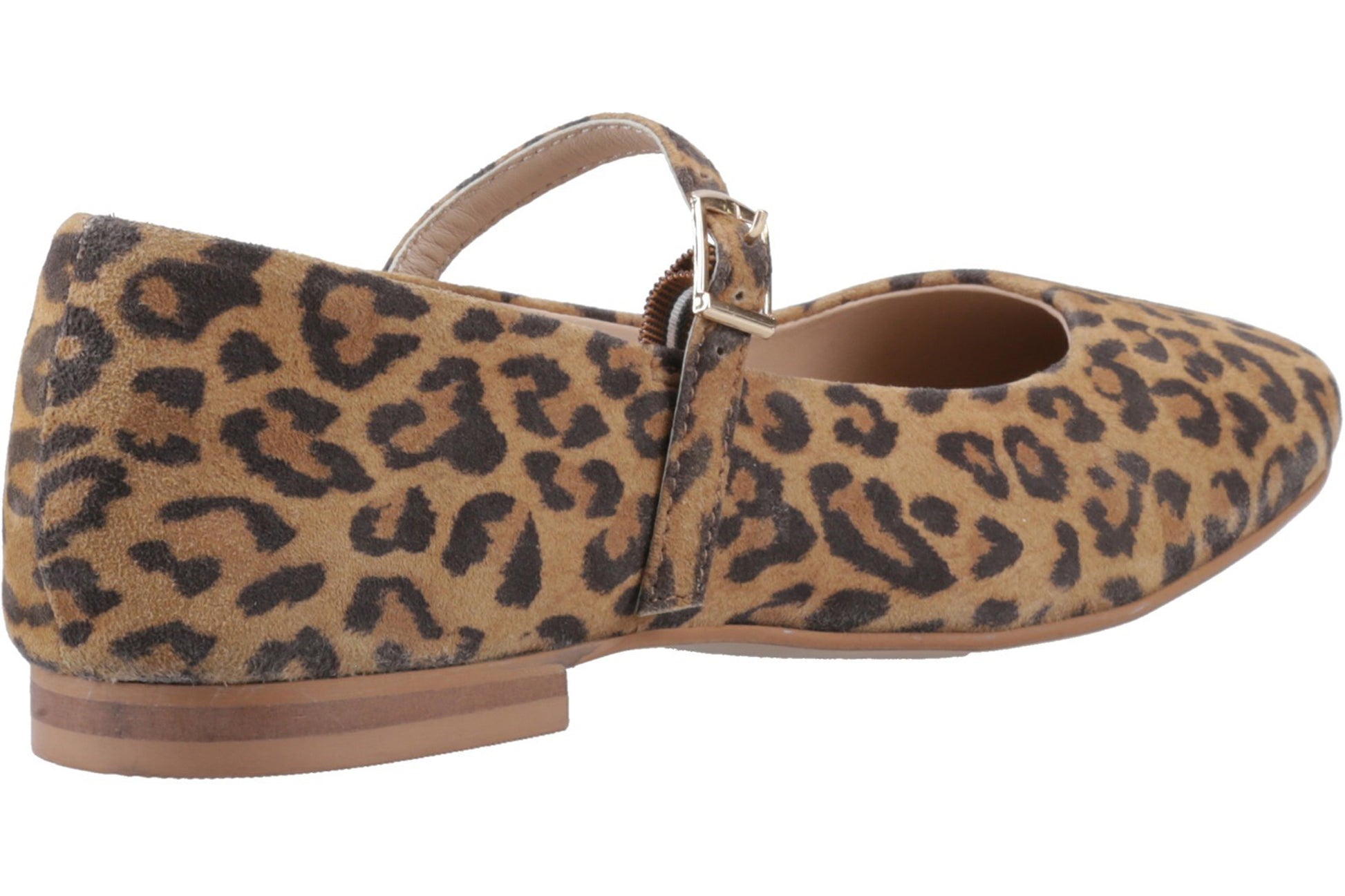 hush-puppies-pasha-suede-ballerina-leopard_1
